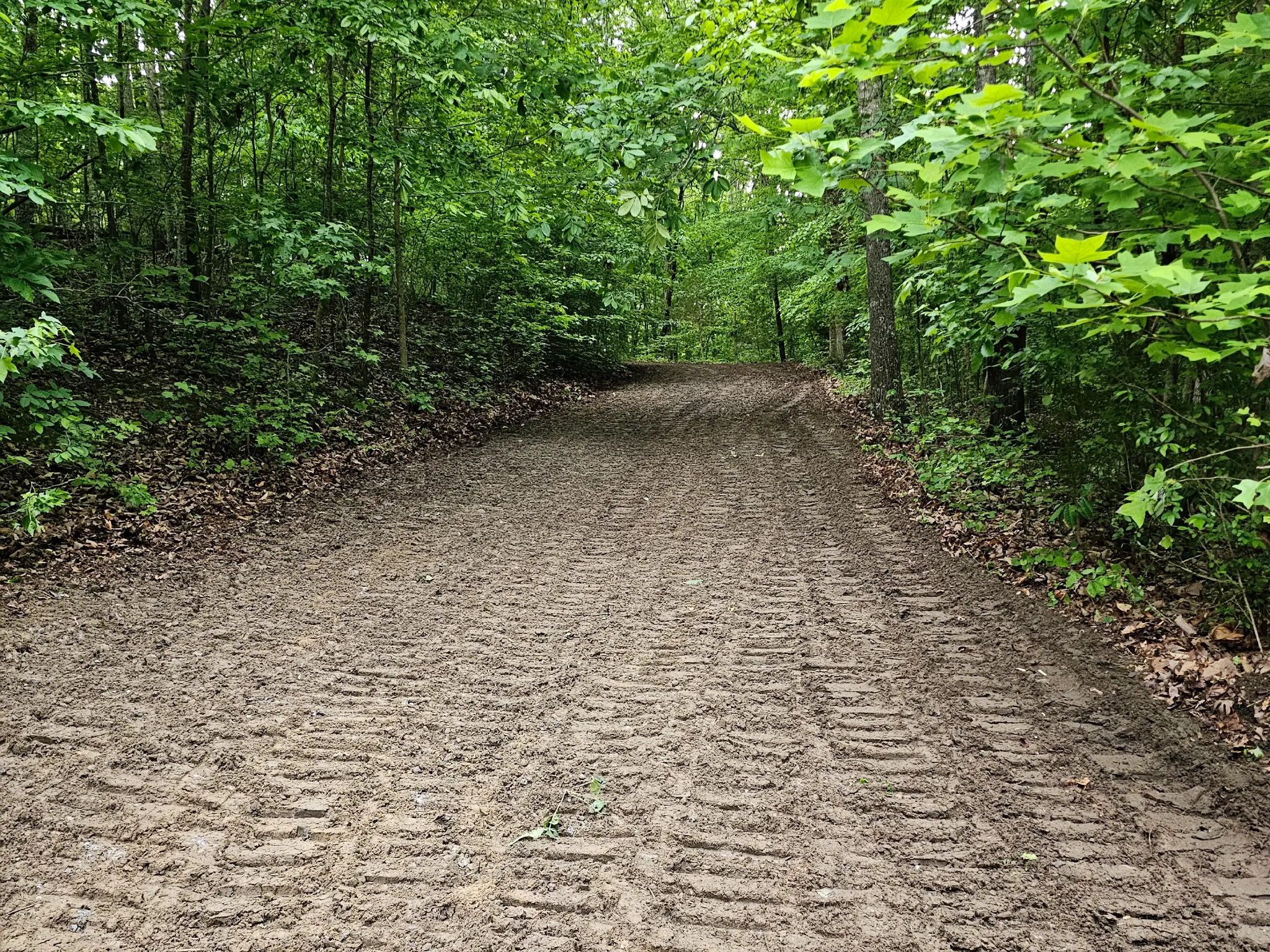 After — driveway cleared and widened through woods