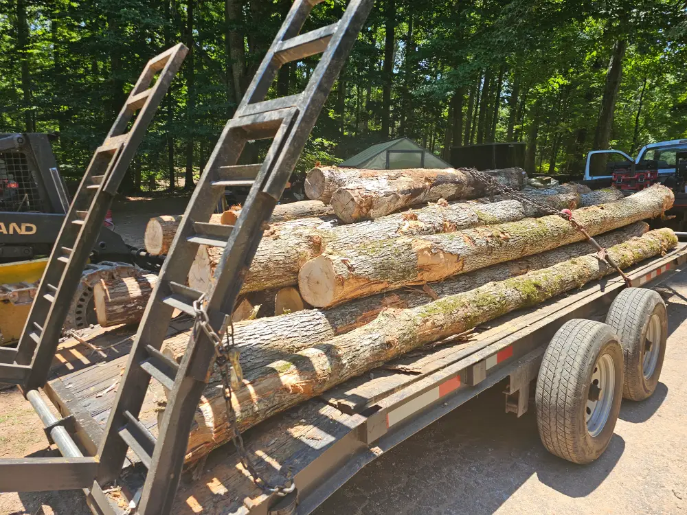 Reclaimed Logs Loaded for Milling