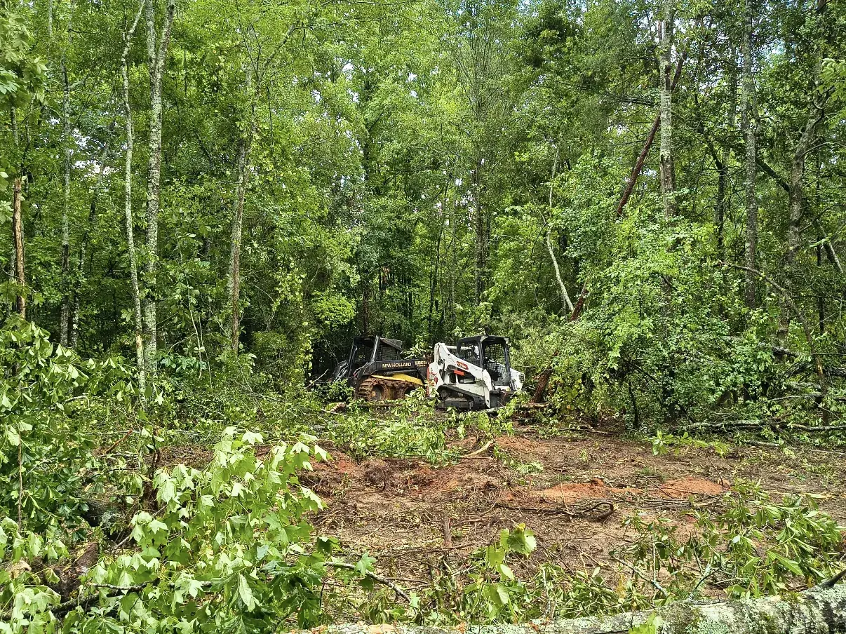 Two skid steers clearing trees and brush from a wooded lot