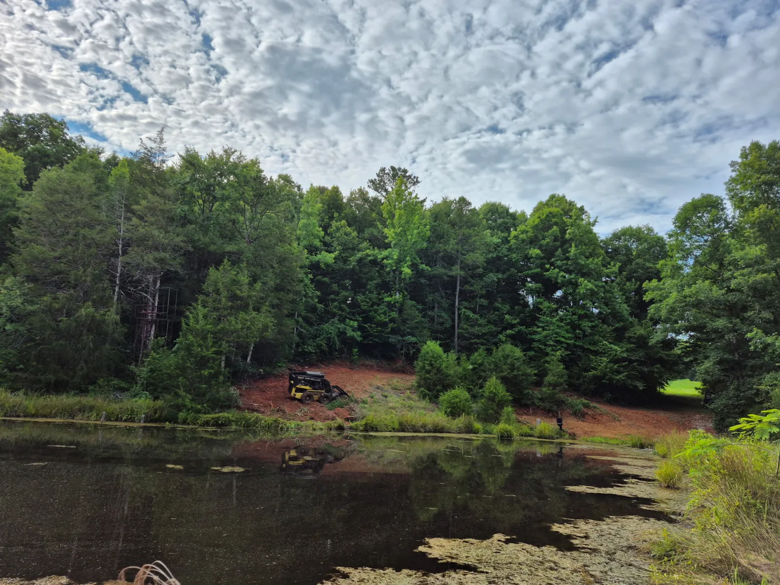 Before — pond bank freshly cleared, bare dirt