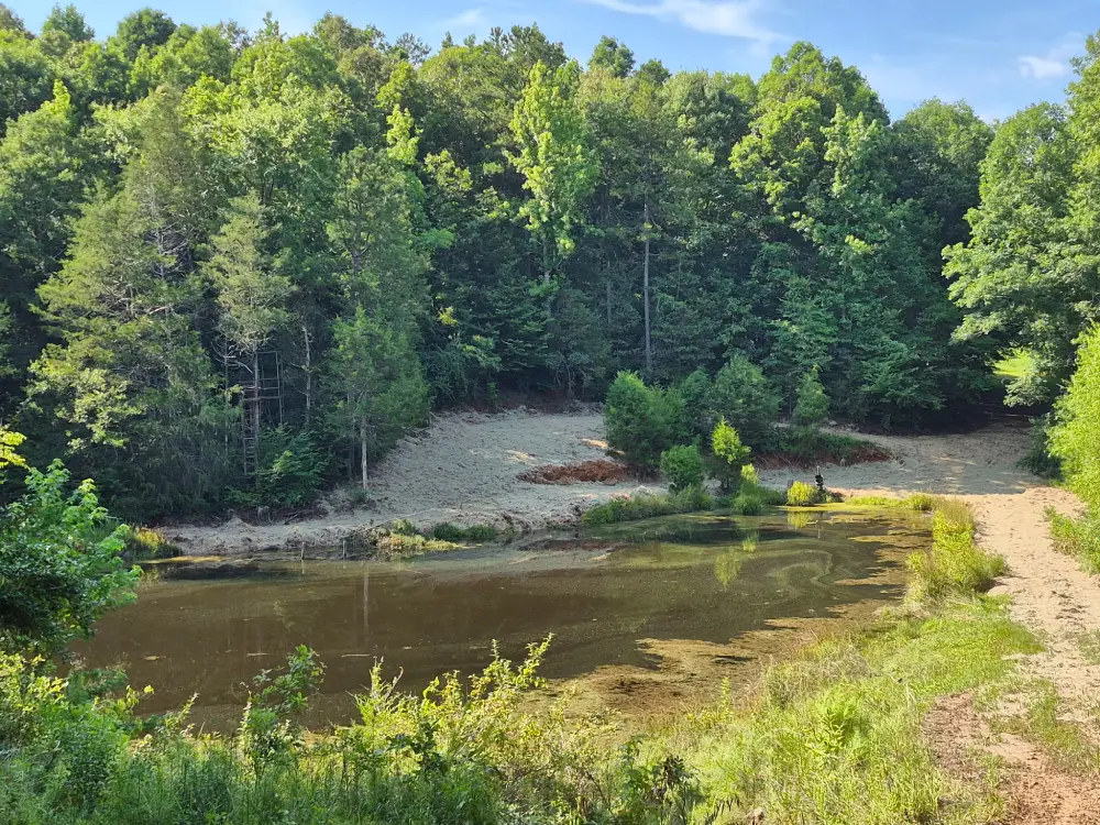 After — pond bank seeded with grass, erosion mat down